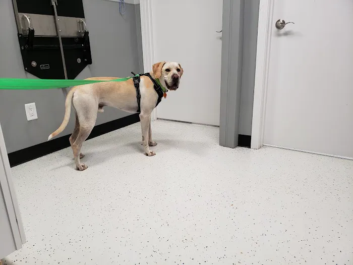 Mineral Wells Veterinary Clinic 3