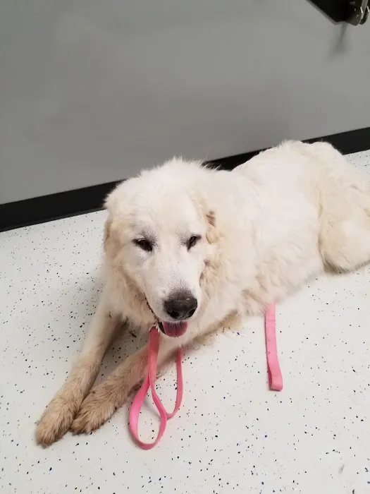 Mineral Wells Veterinary Clinic 1