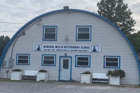Mineral Wells Veterinary Clinic