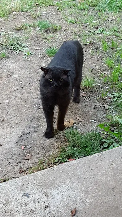Mountain Valley Veterinary Clinic 10