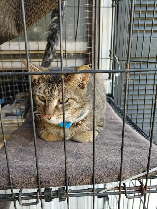 Mountain Valley Veterinary Clinic 4