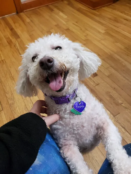 Oak Pointe Veterinary Care 6