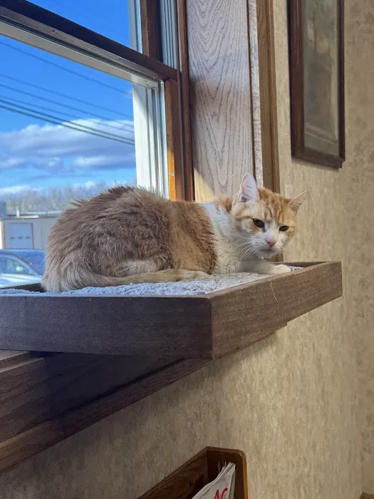 Oak Pointe Veterinary Care 2