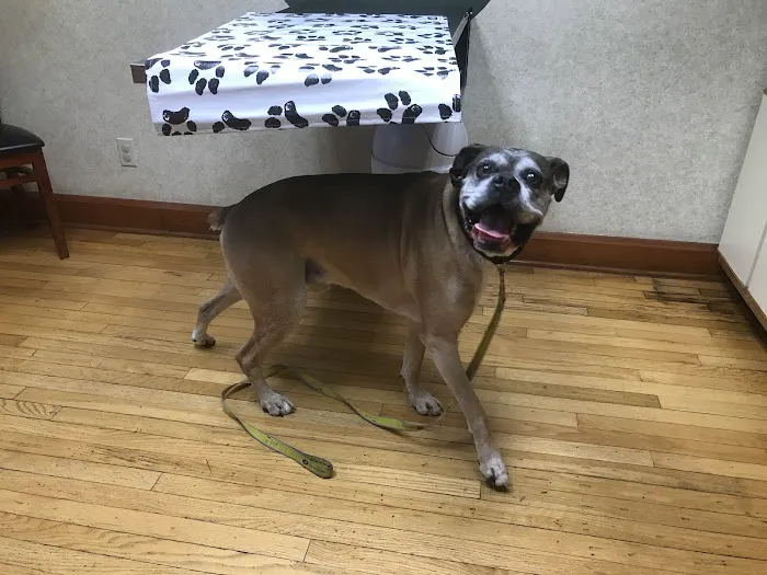 Oak Pointe Veterinary Care 4