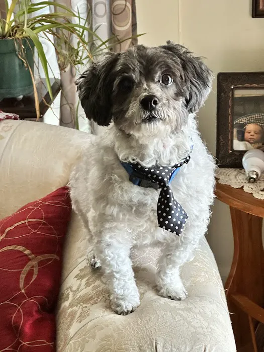 Oak Pointe Veterinary Care 3