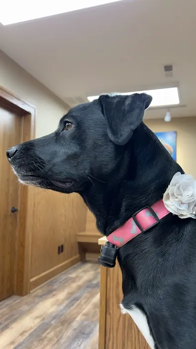 Oak Pointe Veterinary Care 1