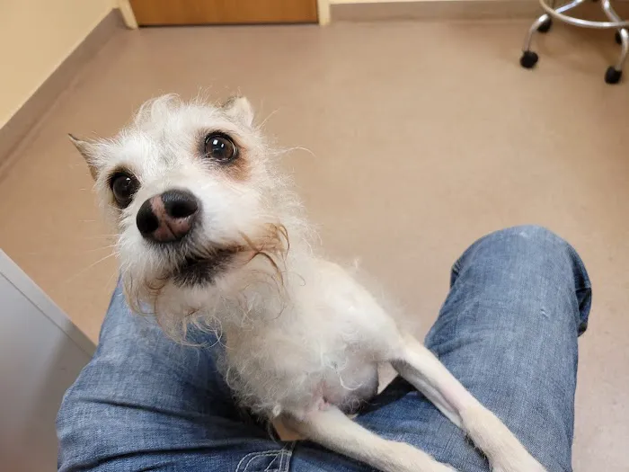 Valley View Animal Hospital 2