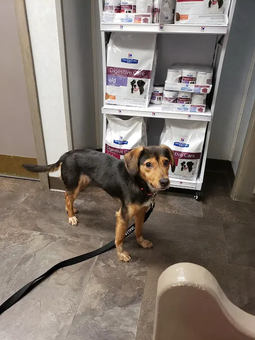 Sifferlin Animal Clinic Inc 12