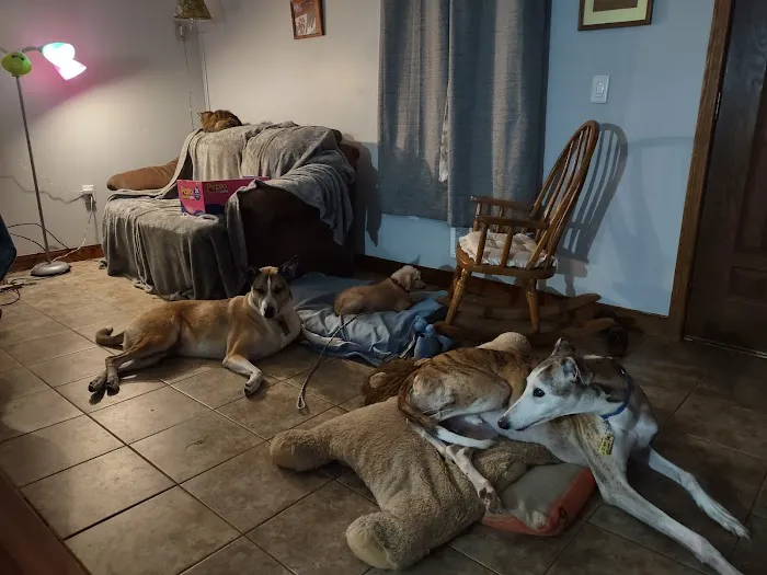 Dover Veterinary Clinic 4