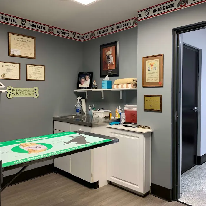 Fulton Animal Hospital 12