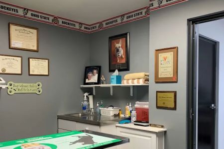 Fulton Animal Hospital