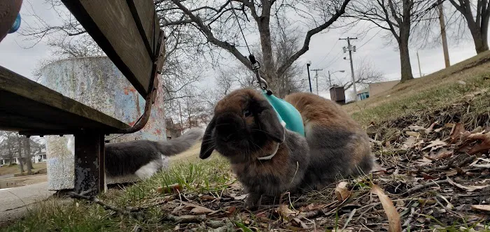 Barberton Veterinary Clinic 8