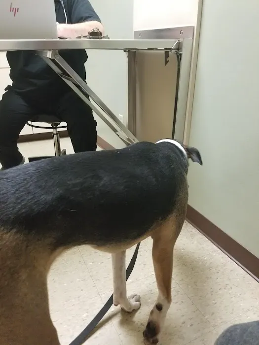 North Coast Bird & Exotic Specialty Hospital 8