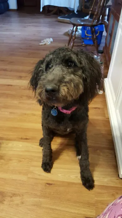 Portage Lakes Veterinary Hospital 9
