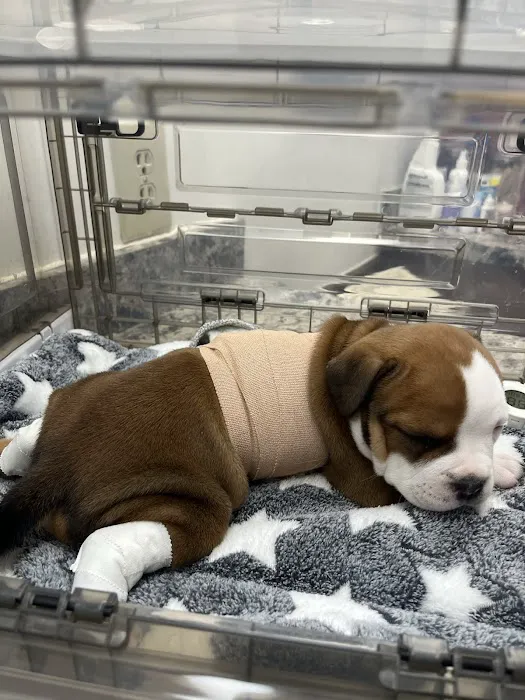 Countryside Animal Hospital 12