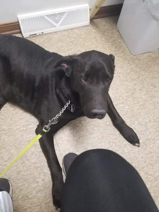 Countryside Animal Hospital 12