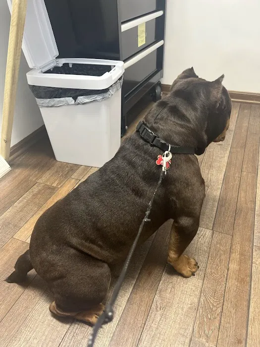 Countryside Animal Hospital 12