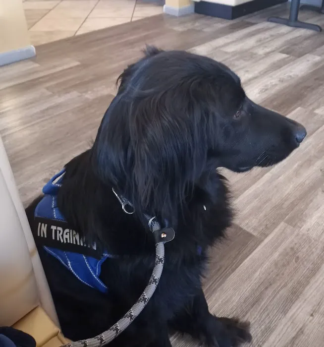 Companion Pet Care Clinic 12
