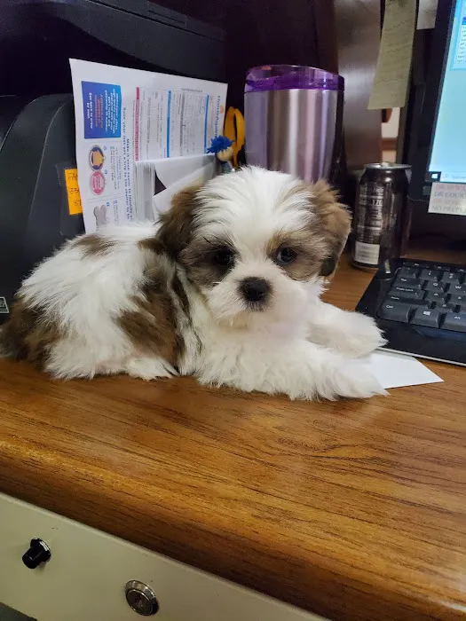 Navarre Animal Clinic 5