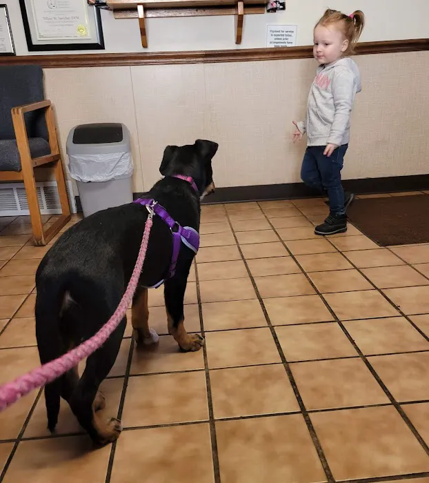Navarre Animal Clinic 9