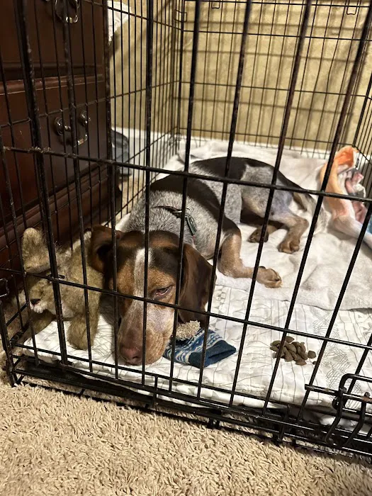 Navarre Animal Clinic 1