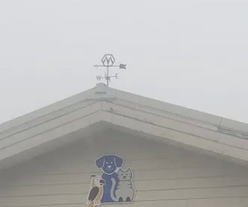 Hill-Crest Veterinary Hospital