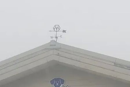 Hill-Crest Veterinary Hospital