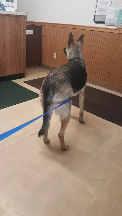 Hill-Crest Veterinary Hospital 12