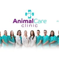 Animal Care Clinic ico