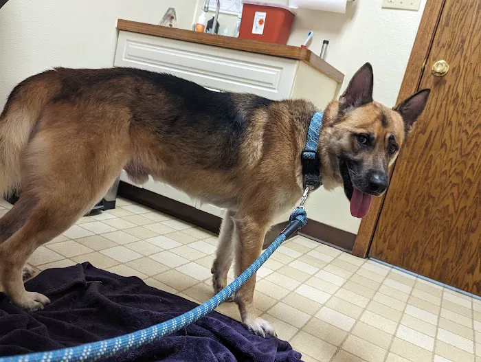 Animal Care Clinic 12