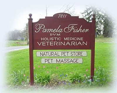 Holistic Veterinary Practice - Pamela Fisher, DVM 12