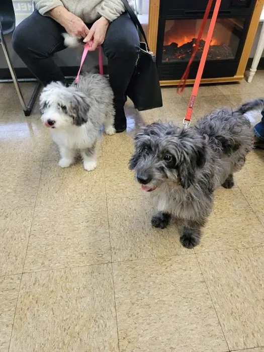 Kentown Animal Hospital 12
