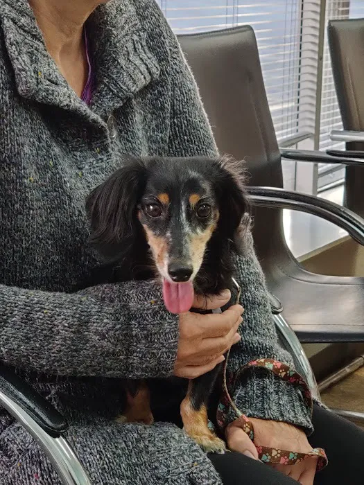 Kentown Animal Hospital 12