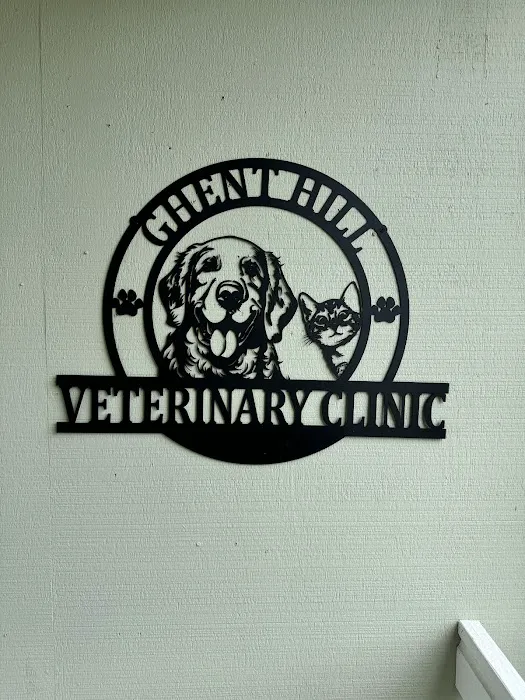 Ghent Hill Veterinary Clinic 8