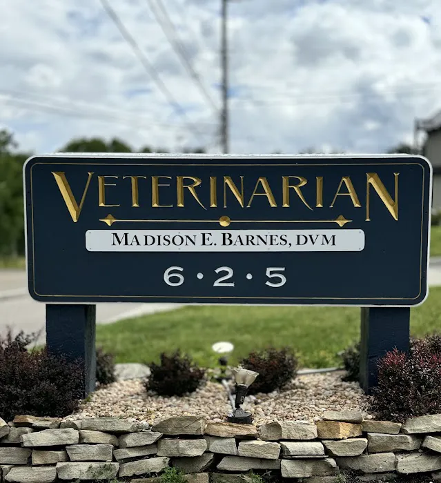 Ghent Hill Veterinary Clinic 10