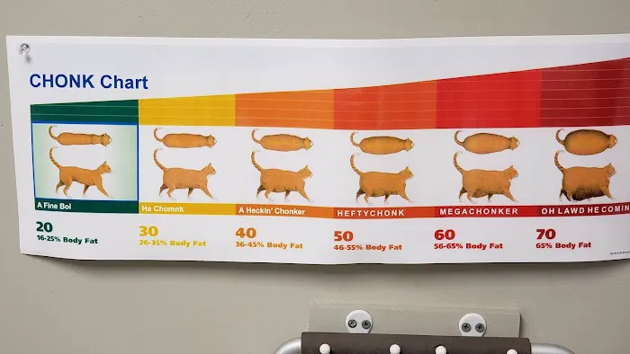 Ghent Hill Veterinary Clinic 2