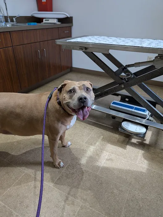 Akron Barberton Veterinary Clinic 12