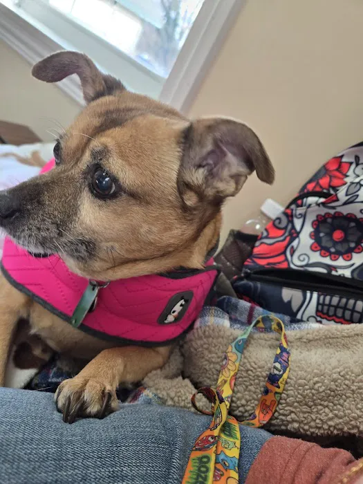 Akron Barberton Veterinary Clinic 12