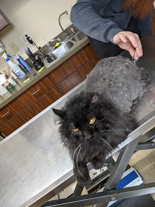 Akron Barberton Veterinary Clinic 12