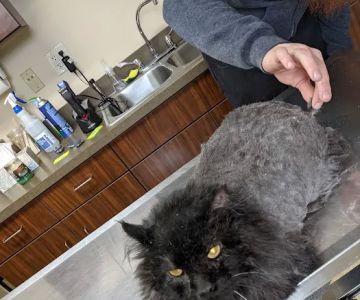 Akron Barberton Veterinary Clinic