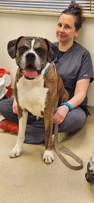 Eye Care for Animals - Akron 12