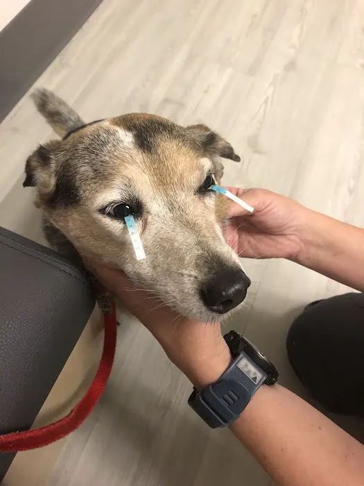 Eye Care for Animals - Akron 12