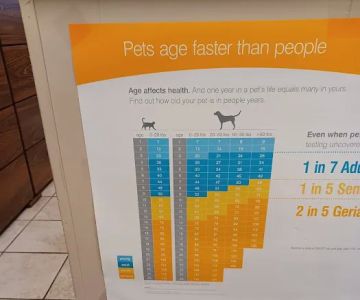 West Akron Veterinary Clinic