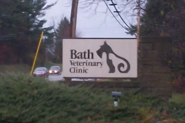 Bath Veterinary Clinic 2