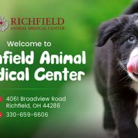 Richfield Animal Medical Center ico