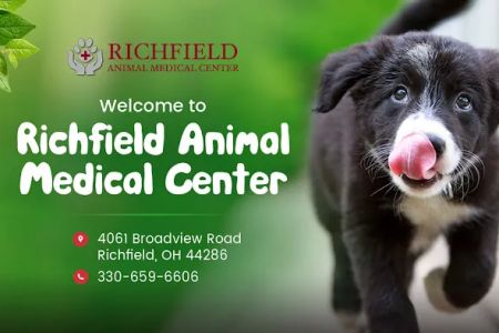 Richfield Animal Medical Center