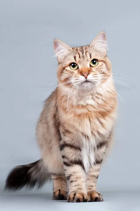Richfield Animal Medical Center 12