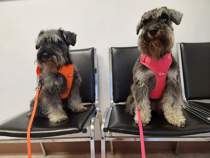 Cuyahoga Valley Vet Clinic 12