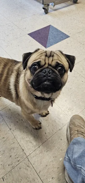 Cuyahoga Valley Vet Clinic 12