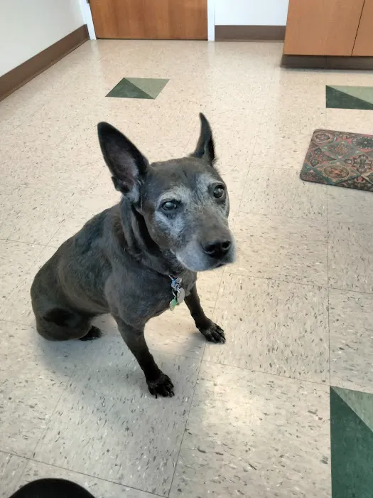 Cuyahoga Valley Vet Clinic 12